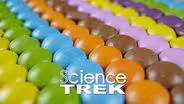 Five Senses: Tricked Views