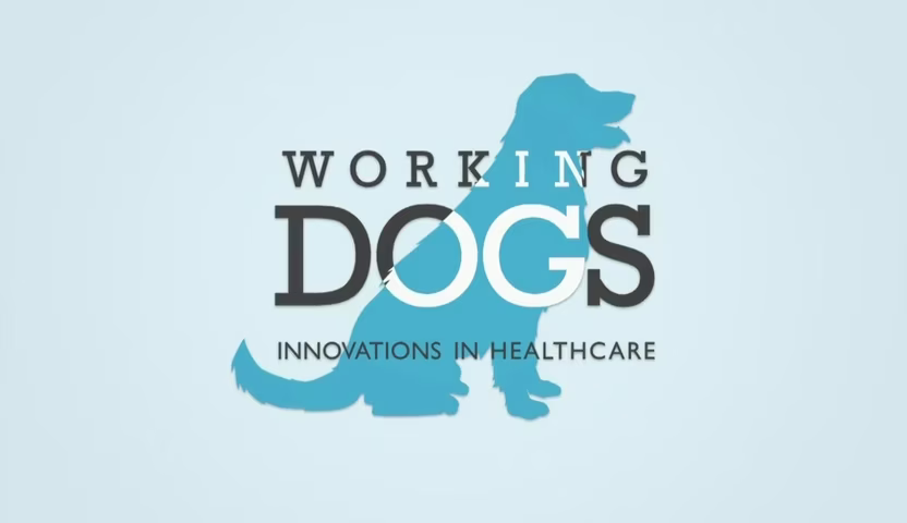 Working Dogs: Innovations in Healthcare