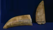 Appraisal: Two Scrimshaw Whale Teeth, ca. 1840