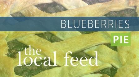 Video thumbnail: The Local Feed Blueberries | Pie
