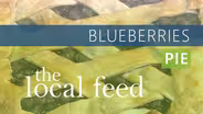 Blueberries | Pie