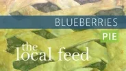 Blueberries | Pie
