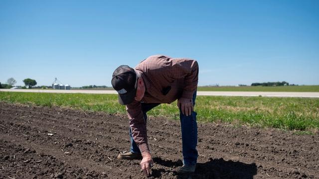 Trump considers farmer bailout as tariffs disrupt market
