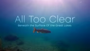 All Too Clear | Trailer