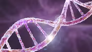 Why Is All DNA Right Handed?