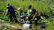 Dragonfly Detectives