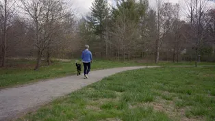 The Park at Flat Rock