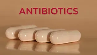 Antibiotics | Line One: Your Health Connection