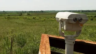 Otter Creek Marsh