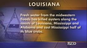 Video thumbnail: Louisiana: The State We're In Governor’s Race, Campaigning, BESE Election, Seafood