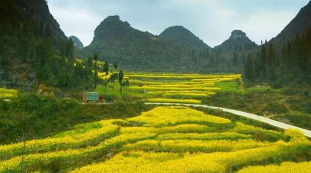 Video thumbnail: Life from Above China’s Yellow Fields