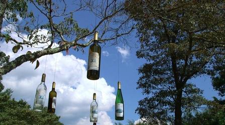 Video thumbnail: Flavor NC Elkin Creek, Carolina Heritage & Burntshirt Wineries