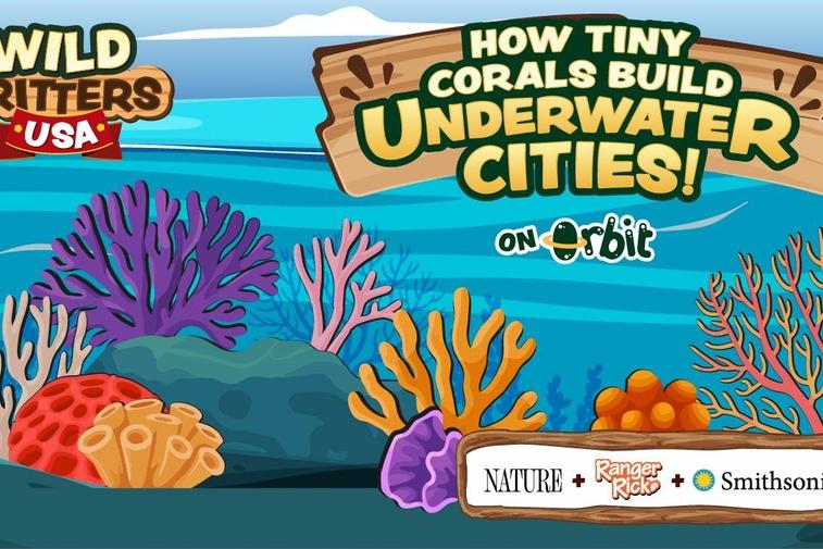 How Tiny Corals Build Underwater Cities | Wild Critters USA Poster