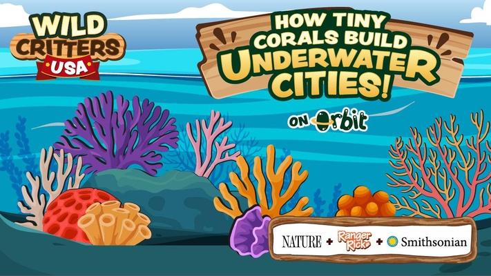 How Tiny Corals Build Underwater Cities | Wild Critters USA: asset-mezzanine-16x9