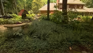 Volunteer Gardener 2912