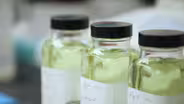 A day in the life of a chemist