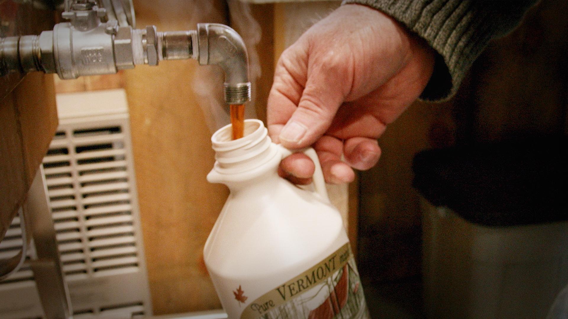 How Do They Make Maple Syrup? | Reactions | ALL ARTS