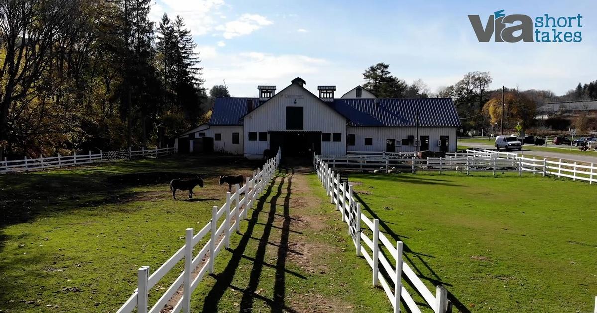 The Lands at Hillside Farms  Local, Sustainable, Educational Non