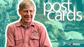 Video thumbnail: Postcards Lietzau Taxidermy