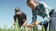 Feed The World