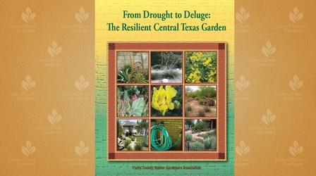 Video thumbnail: Central Texas Gardener From Drought to Deluge: The Resilient Central Texas Garden