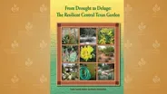 From Drought to Deluge: The Resilient Central Texas Garden