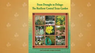 From Drought to Deluge: The Resilient Central Texas Garden