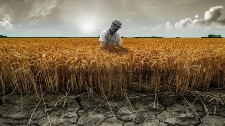 The Man Who Tried to Feed the World
