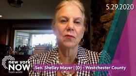 Video thumbnail: New York NOW Update on Education in New York with Senator Shelley Mayer