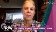 Update on Education in New York with Senator Shelley Mayer