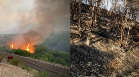 Video thumbnail: Peril and Promise Life After Wildfires, from Australia to the West Coast
