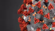 Confronting Coronavirus — A PBS NewsHour Special