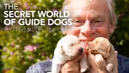 The Secret World of Guide Dogs with Martin Clunes