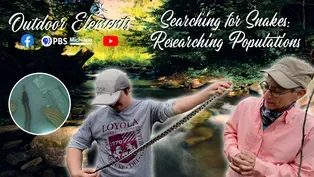 Searching for Snakes: Researching Populations