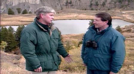 Video thumbnail: NatureScene Yellowstone National Park (1994)
