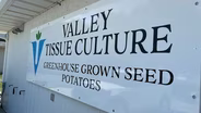 Valley Tissue Culture Spuds