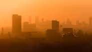 Are trees the best way to cool the city?