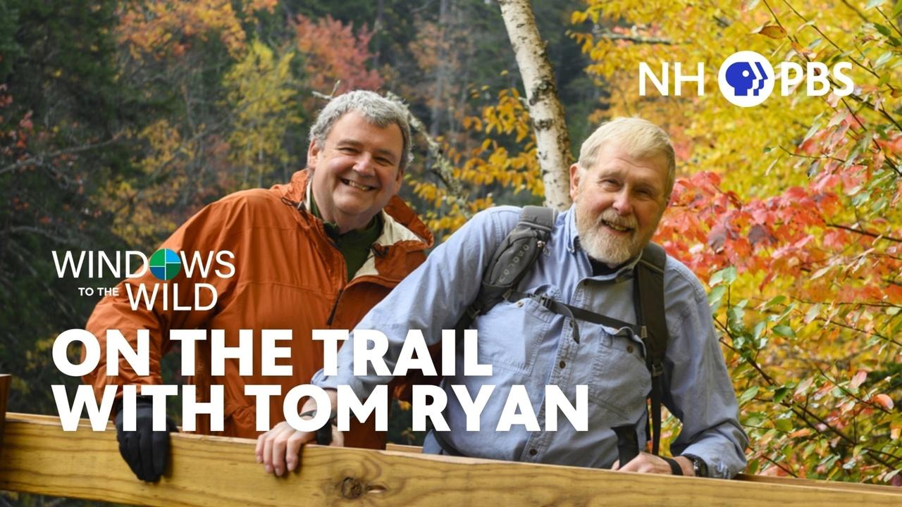 Windows to the Wild | On The Trail With Tom Ryan