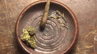 Dozens of alleged violations by NJ medical marijuana sellers