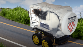 This Rat Can Drive a Car?: asset-mezzanine-16x9