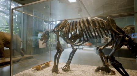 Video thumbnail: Lost LA Prehistoric Landscapes (Preview)