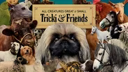 All Creatures Great and Small: Tricki & Friends | Trailer