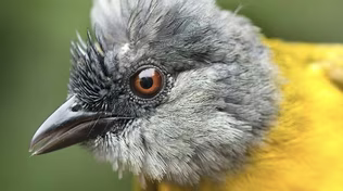 Conversation Through a Lens, Akron Rubber Workers Preview
