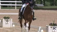 Horse Park of New Jersey hosts Olympic qualifier