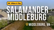 Salamander Middleburg is Perfect for a Peaceful Escape or Equestrian Adventure