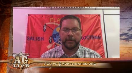 Video thumbnail: Montana Ag Live 4-H Continues Even Around COVID-19 (No. 5313)
