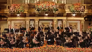 From Vienna: The New Year's Celebration 2022 Preview
