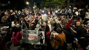 Pro-Palestine Demonstrators on Ashland Avenue