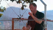 SpiderHarp