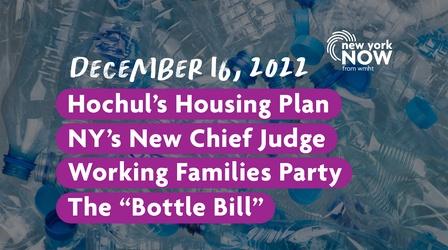 Hochul Housing Plan, New NY Chief Judge, Future of the NYWFP